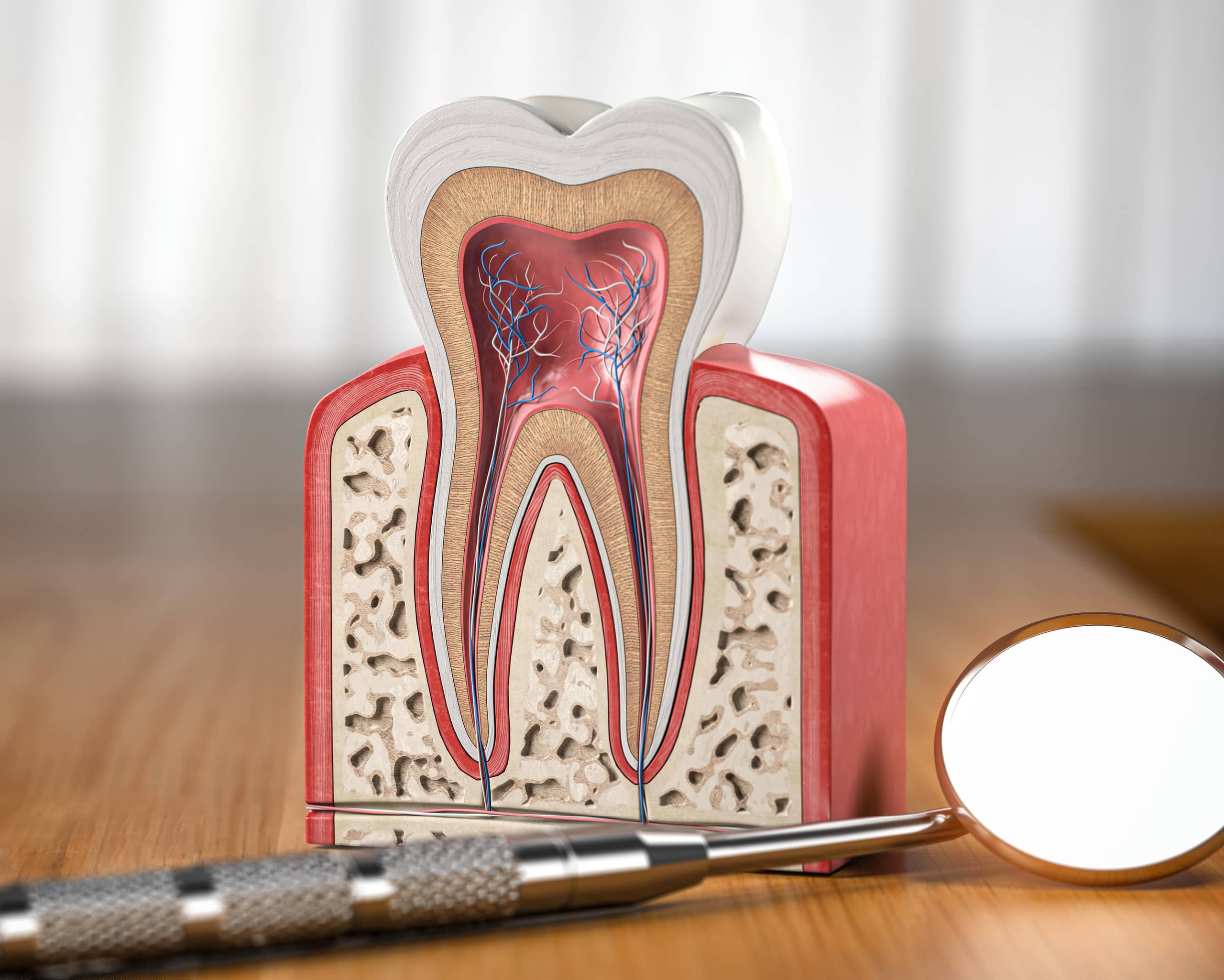 Endodoncie